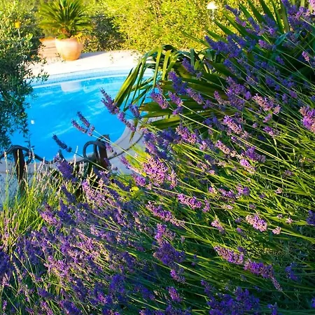 Angolo Di Paradiso Romantico Vista Mare -