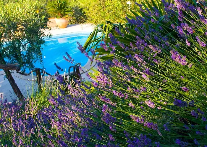 A Casa Di Roby- Angolo Di Paradiso Romantico Vista Mare -